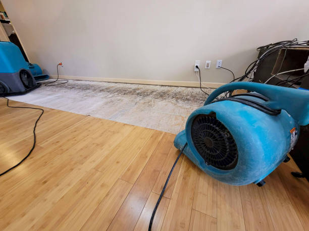 Professional Structural Drying technician working in Chisholm, MN